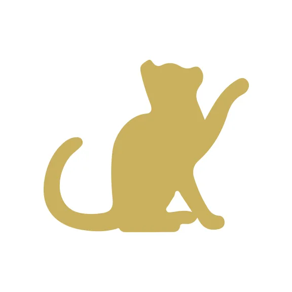 コーポレートサイト