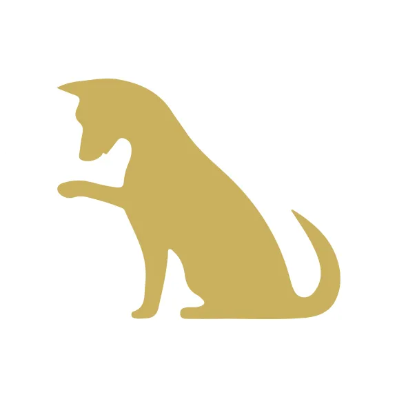 PETRO(ペトロ)犬用おやつ 骨型ガムSサイズ 40本入り