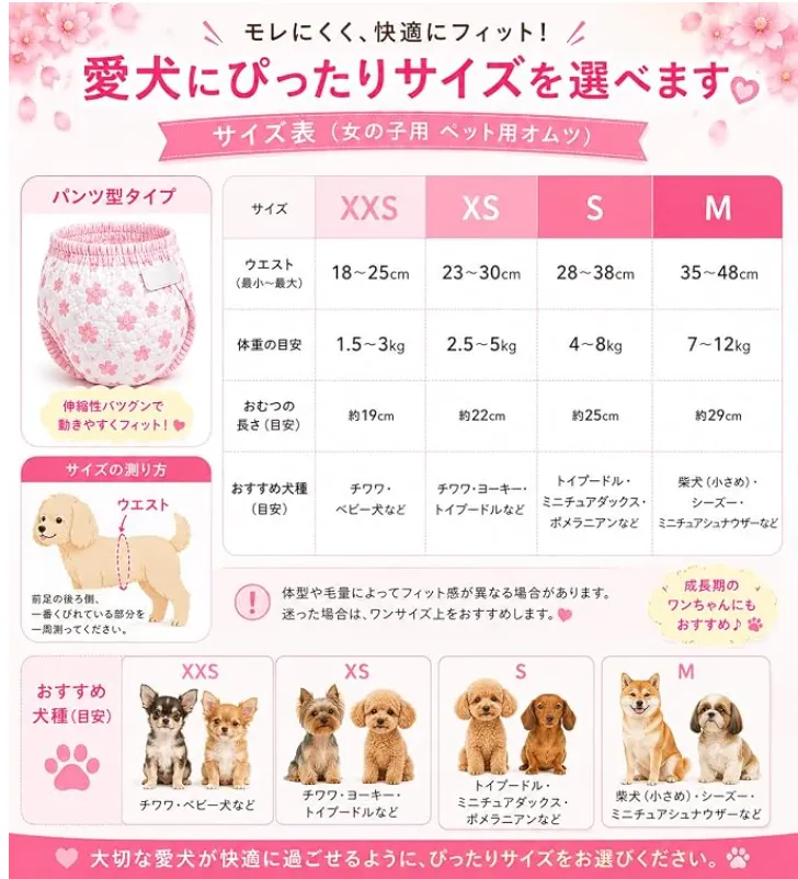 犬用オムツのサイズ選びで失敗しない実測方法と快適に使うためのポイント